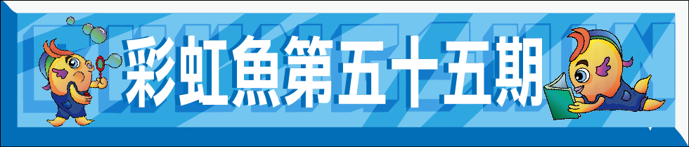 彩虹魚第55期