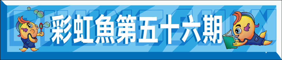 彩虹魚第56期